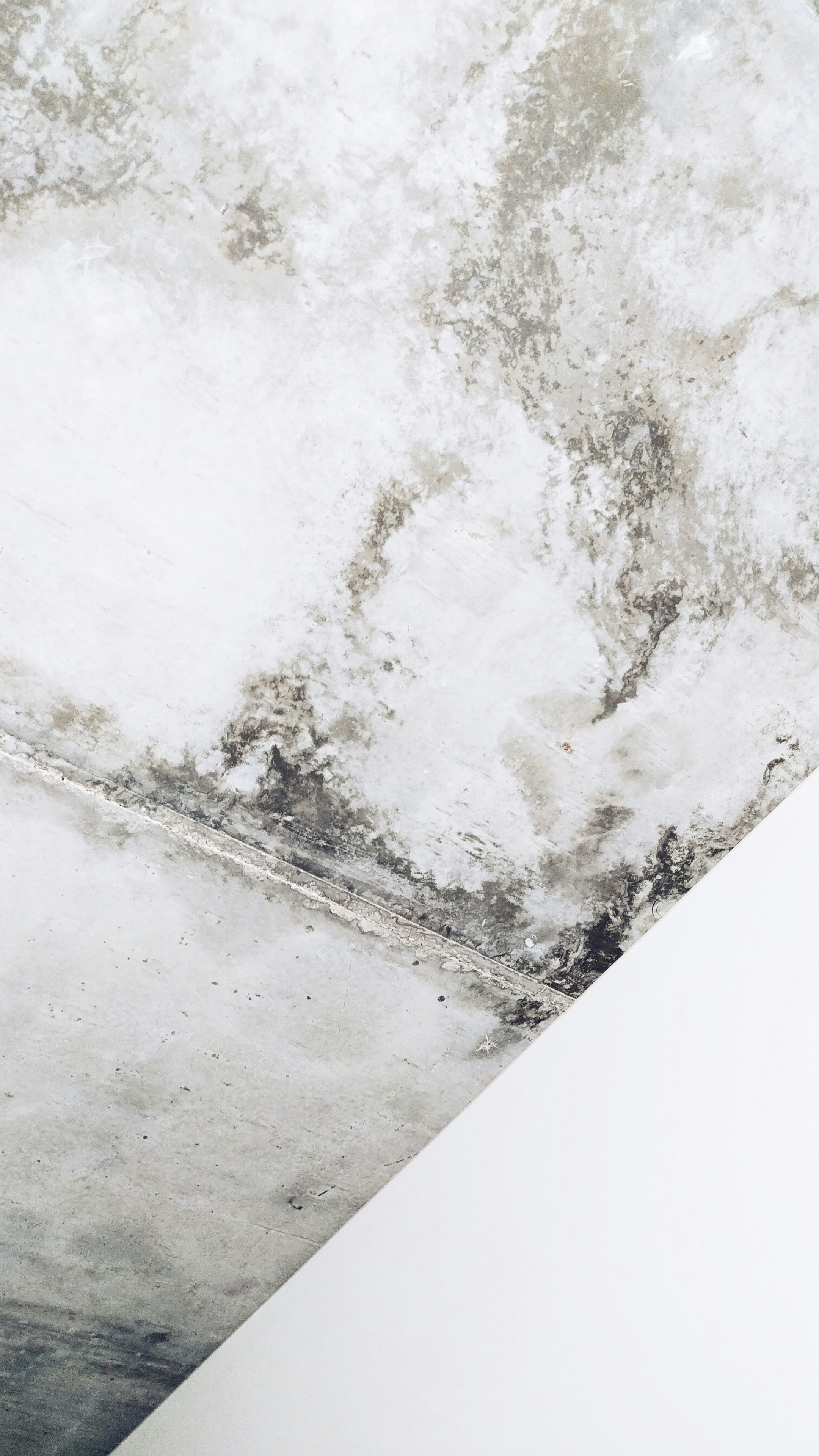 Damp and mould on a wall inside a residential property